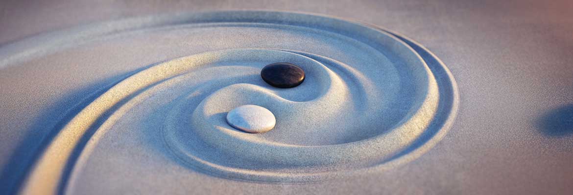 Bildungsurlaub Neurosystemische Integration